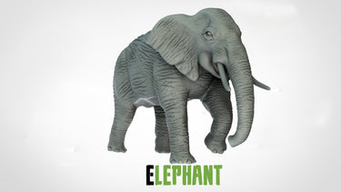 Elephants